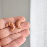 Náušnice dobroty croissant - belusi