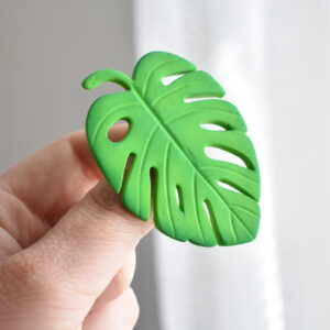 Brož - Monstera
